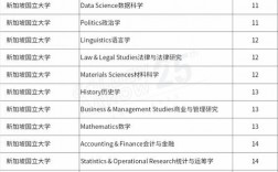 新加坡国立大学本科专业