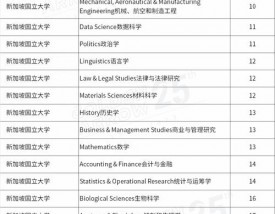 新加坡国立大学本科专业