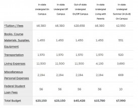 佛罗里达大学留学一年费用