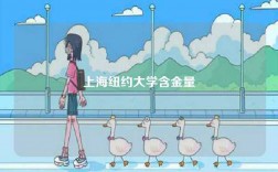 上海纽约大学含金量