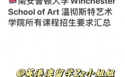 南安普敦大学王牌专业