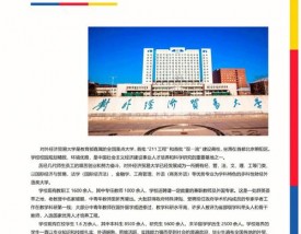 对外经济贸易大学留学项目