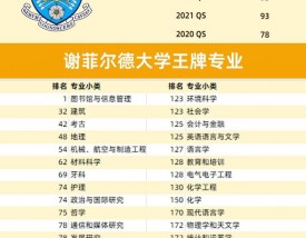 谢菲尔德大学相当于国内什么大学