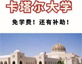 卡塔尔大学怎么样？好不好？