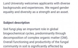 隆德大学世界排名多少