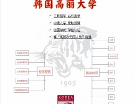 高丽大学王牌专业