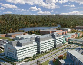 加拿大纽芬兰纪念大学