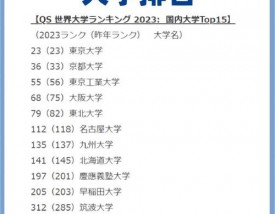 早稻田大学相当于国内什么大学