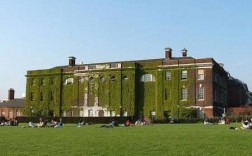 goldsmiths大学