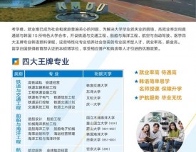 延世大学王牌专业