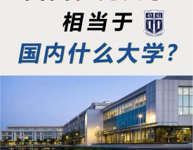 杜克大学相当于国内什么大学
