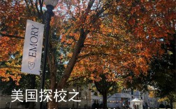 emory university埃默里大学排名