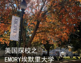 emory university埃默里大学排名