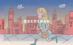 西北大学王牌专业