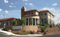 新墨西哥州立大学