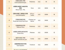 巴黎理工学院相当于国内什么大学