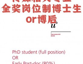 伯尔尼大学王牌专业