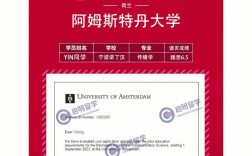 阿姆斯特丹大学王牌专业