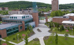 纽约州立大学宾汉姆顿分校
