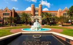 佛罗里达大学王牌专业