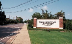 密西西比州立大学简介