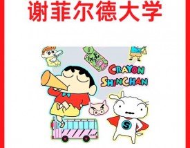 谢菲尔德大学王牌专业