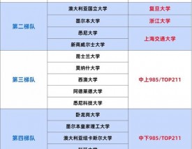 海德堡大学相当于国内什么大学