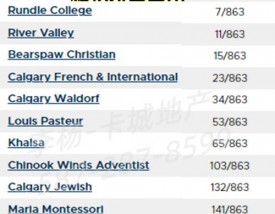 卡尔加里大学世界排名