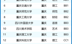 重庆大学世界排名