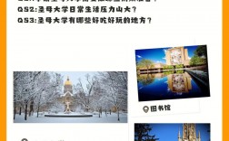 圣母大学世界排名