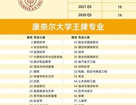 康奈尔大学世界排名