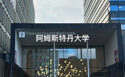 阿姆斯特丹大学相当于国内什么大学