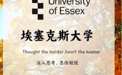 埃塞克斯大学世界排名