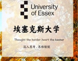 埃塞克斯大学世界排名
