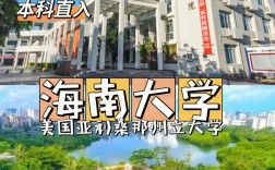 海南大学中外合作办学