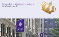 纽约大学NYU王牌专业