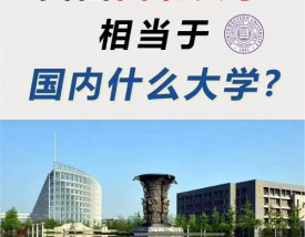 西北大学相当于国内什么大学