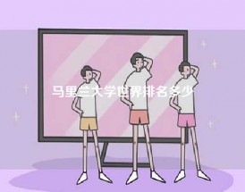 马里兰大学世界排名多少