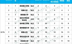 美国休斯顿大学排名