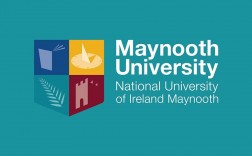 爱尔兰国立梅努斯大学