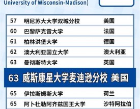 威斯康星大学麦迪逊分校世界排名