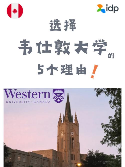 韦仕敦大学怎么样？好不好？-图1