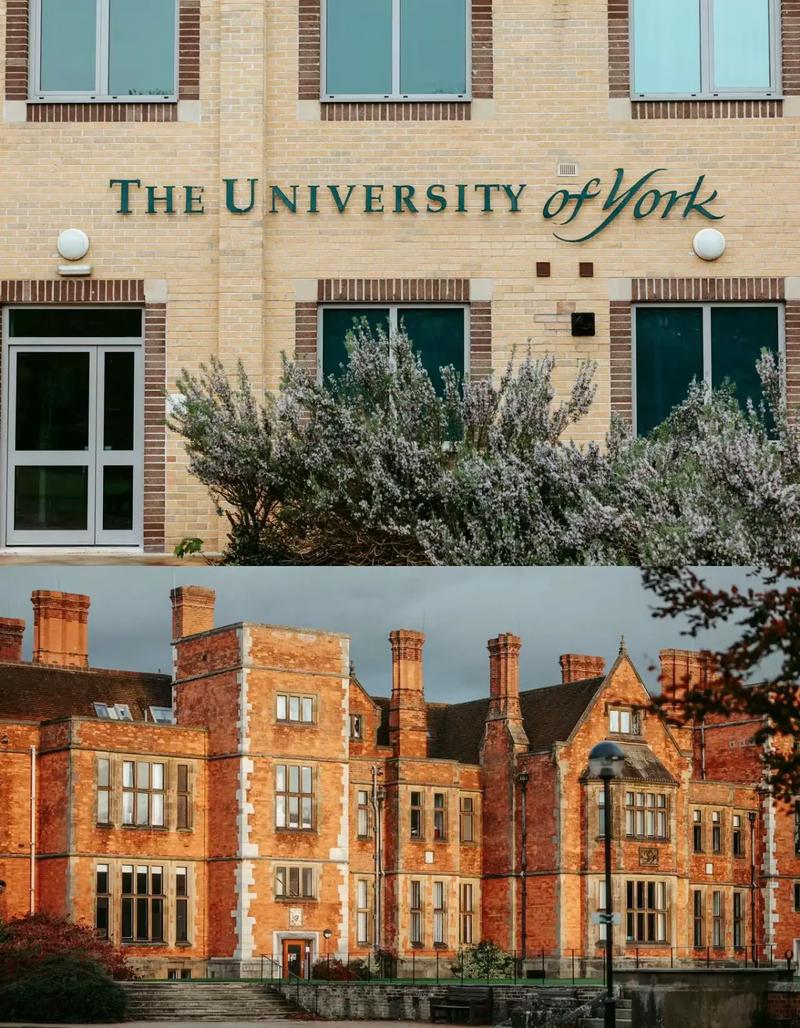 约克大学怎么样？好不好？-图1