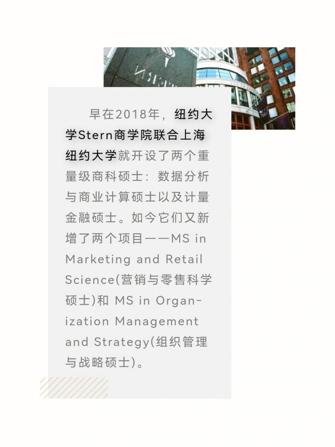 上海纽约大学研究生申请条件-图1