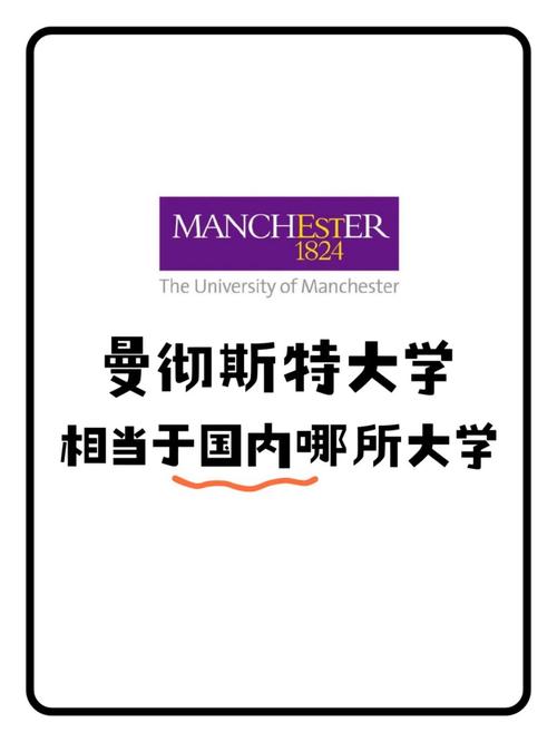 曼彻斯特大学相当于国内什么大学-图1