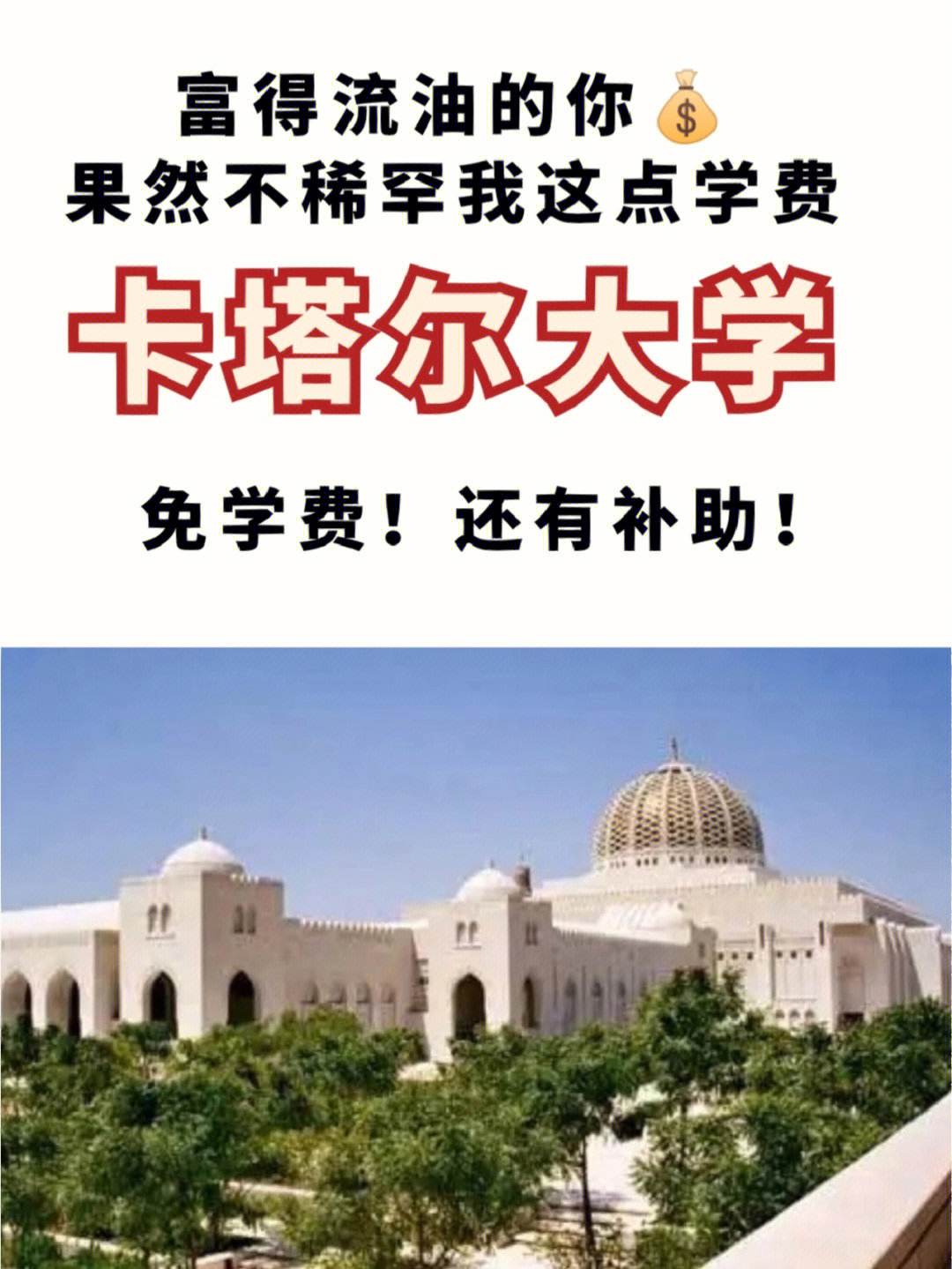 卡塔尔大学怎么样？好不好？-图1