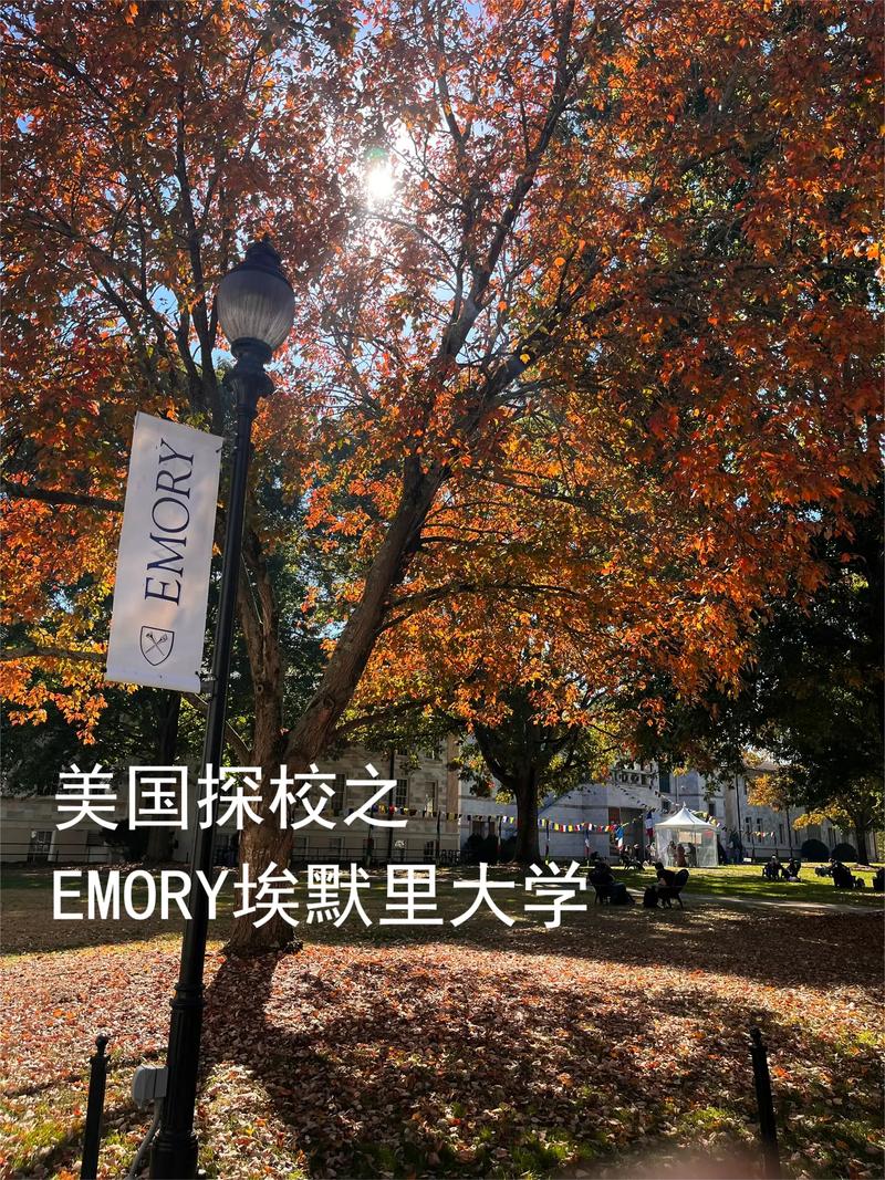 emory university埃默里大学排名-图1