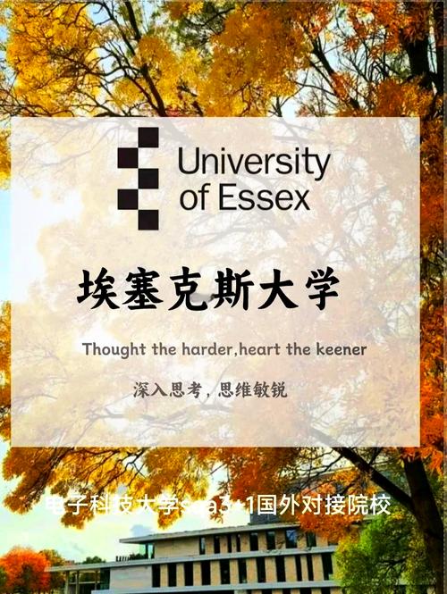 英国埃塞克斯大学世界排名-图1