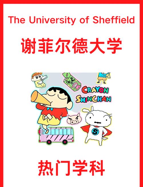 谢菲尔德大学王牌专业-图1