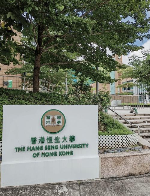 香港恒生大学相当于国内什么大学-图1